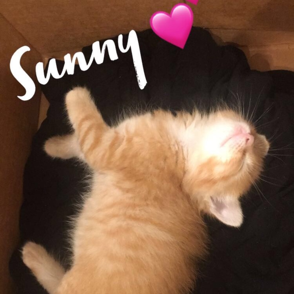 Meet your Posher, Marisol